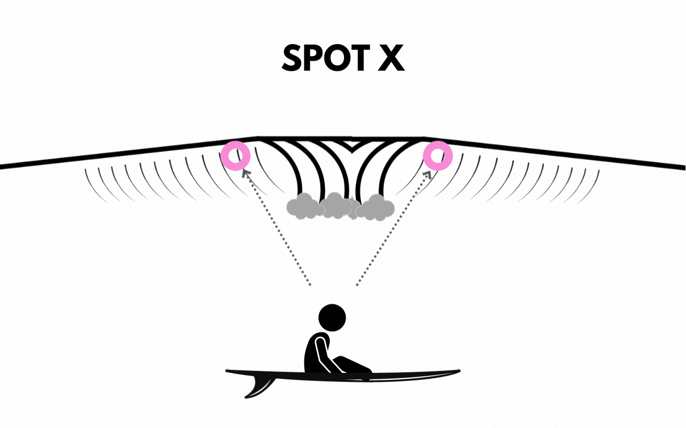 spot x